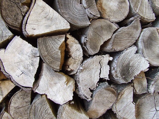 Przecinarka taśmowa do cięcia drewna – jak o nią dbać?